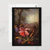 Carte postale classique/Vintage-Martin Johnson Hea (Devant / Derrière)