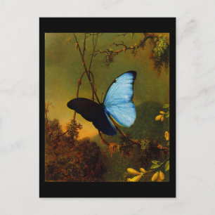Carte Postale Classique/Vintage-Martin Johnson Hea