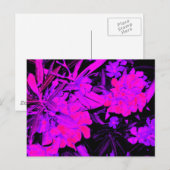 Carte Postale classique+vintage+style+artistique+look, (Devant / Derrière)