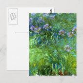 Carte Postale Claude Monet : Agapanthus (Devant / Derrière)