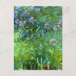 Carte Postale Claude Monet : Agapanthus