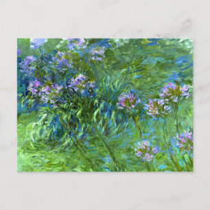 Carte Postale Claude Monet : Agapanthus