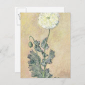 Carte Postale Claude Monet | Coquelicot blanc, 1883 (Devant / Derrière)
