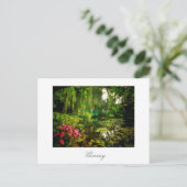 Carte postale Claude Monet Giverny Pond Lilies (Debout devant)