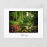 Carte postale Claude Monet Giverny Pond Lilies<br><div class="desc">Claude Monet Giverny, France Pond avec Lilies Canvas Styliszed Photo Carte postale pour ajouter à votre collection de souvenirs de voyage. Un cadeau cool / idée de cadeau pour tous ceux qui aiment le design personnalisé des objets personnalisés, des images positives, l'architecture, le voyage, tout ce qui est français, paysages...</div>