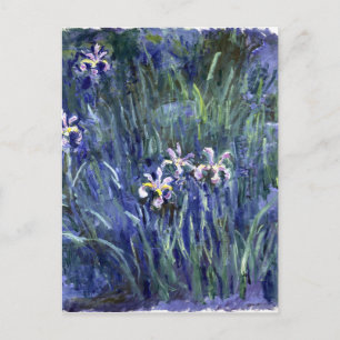 Carte Postale Claude Monet : Irises