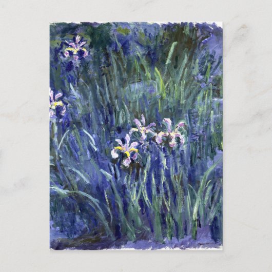 Carte Postale Claude Monet : Irises (Devant)