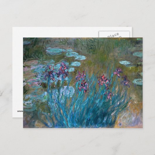 Carte Postale Claude Monet : Irises et nénuphars (Devant / Derrière)