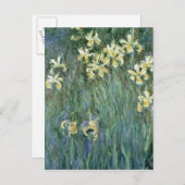 Carte Postale Claude Monet | les iris jaunes (Devant / Derrière)
