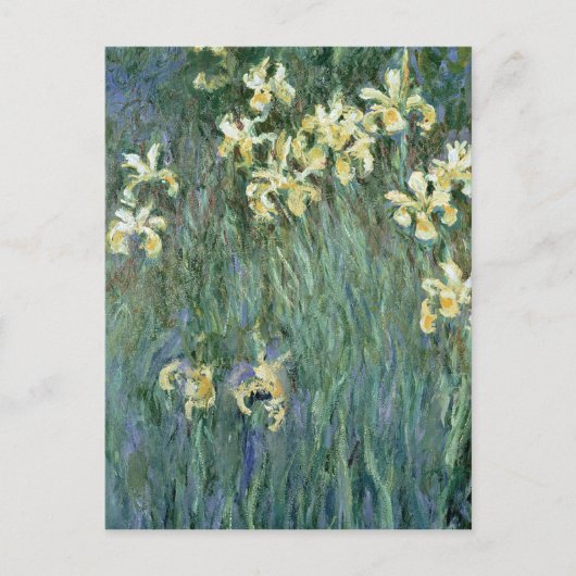 Carte Postale Claude Monet | les iris jaunes (Devant)