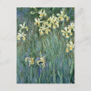 Carte Postale Claude Monet les iris jaunes