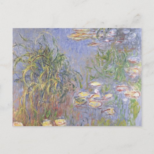 Carte Postale Claude Monet | Lys d'eau, amas d'herbes (Devant)