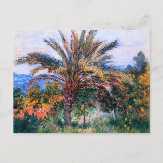 Carte Postale Claude Monet : Palmier à Bordighera (Devant)