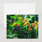 Carte Postale Claude Monet Type Stylisé Jardin Iris (Devant / Derrière)
