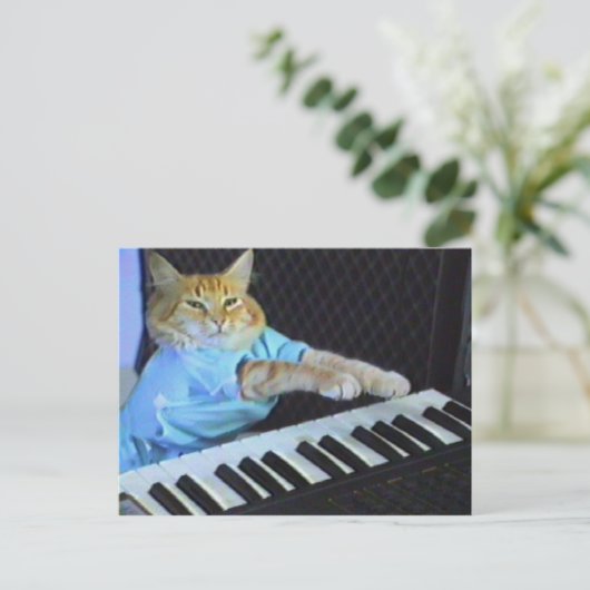 Carte Postale Clavier Cat ! (Debout devant)
