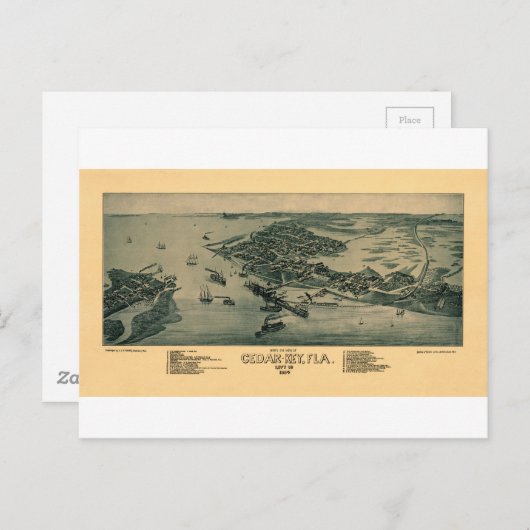 Carte Postale Clé de cèdre (Devant / Derrière)