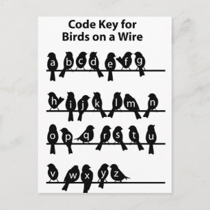 Carte Postale Clé de code - Oiseaux sur un fil