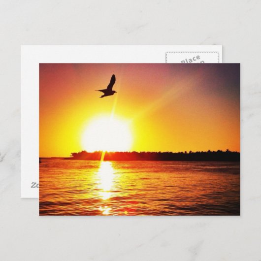 Carte Postale Clé West Sunset (Devant / Derrière)