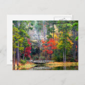 Carte Postale Clear Springs - Forêt nationale Homochitto (Devant / Derrière)