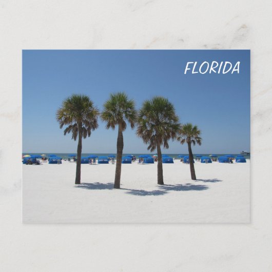 Carte Postale Clearwater Beach FL (Devant)