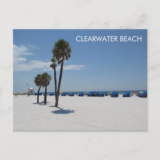 Carte Postale Clearwater Beach FL (Devant)