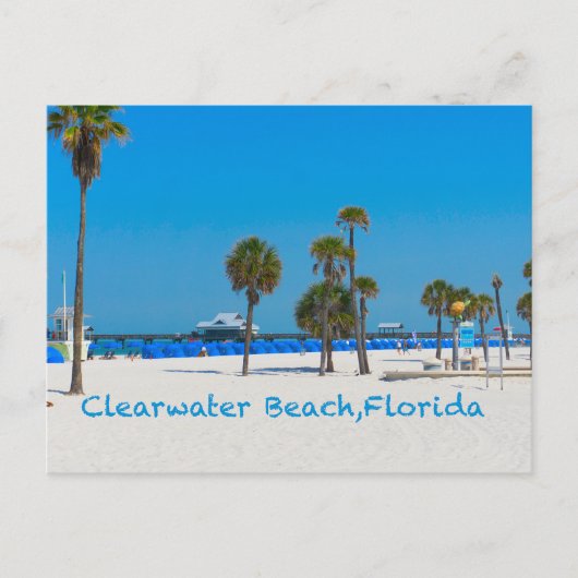 Carte postale Clearwater Beach Florida (Devant)