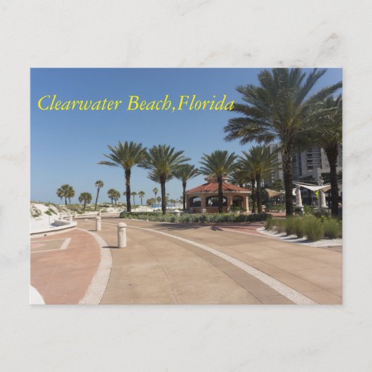 Carte Postale Clearwater Beach Floride (Devant)