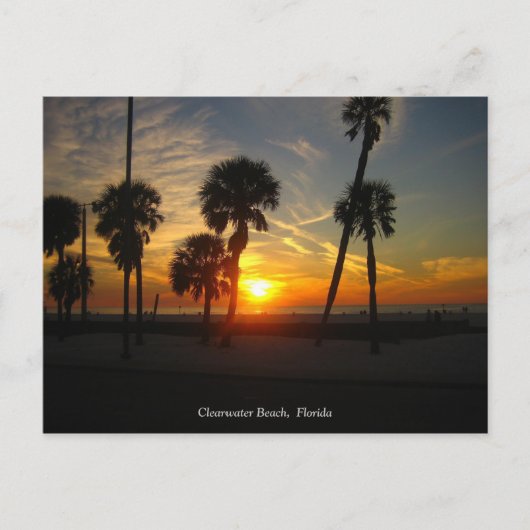 Carte postale Clearwater Beach Sunset (Devant)
