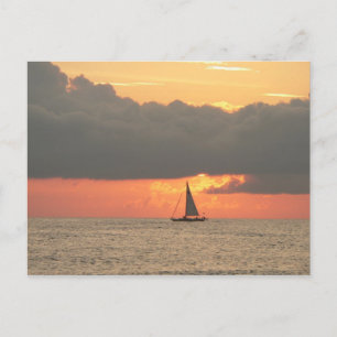 Carte postale Clearwater Beach Sunset
