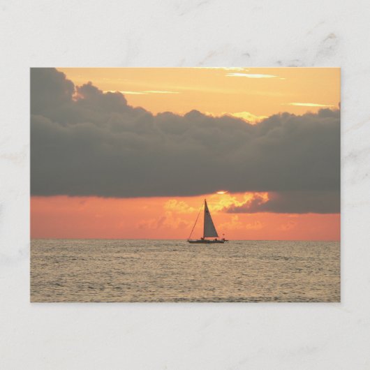 Carte postale Clearwater Beach Sunset (Devant)