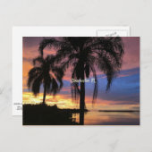 Carte Postale Clearwater, Floride photo paysage (Devant / Derrière)