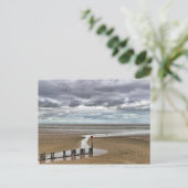 Carte Postale Cleethorpes Beach Lincolnshire (Debout devant)