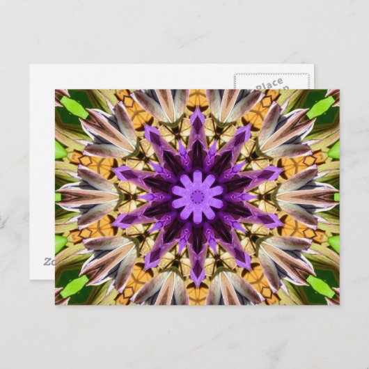 CARTE POSTALE CLEMATIS (Devant / Derrière)