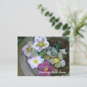Carte postale Clematis (Debout devant)