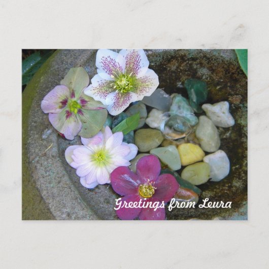 Carte postale Clematis (Devant)
