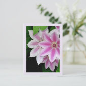 Carte Postale Clematis (Debout devant)