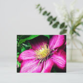 Carte Postale Clematis (Debout devant)