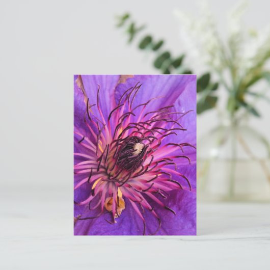 CARTE POSTALE CLEMATIS (Debout devant)