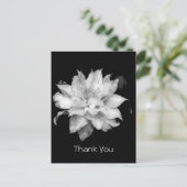 Carte Postale Clematis 3a Merci de la Sympathie du Mémorial (Debout devant)