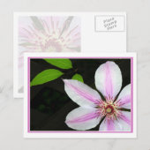 Carte Postale Clematis Avec Feuilles (Devant / Derrière)