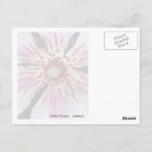 Carte Postale Clematis Avec Feuilles (Dos)