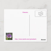 Carte postale Clematis Cluster (Dos)