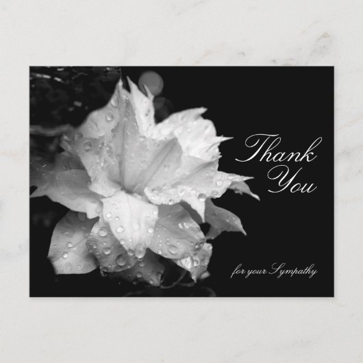 Carte Postale Clematis et Dewdrops Sympathy Merci P (Devant)