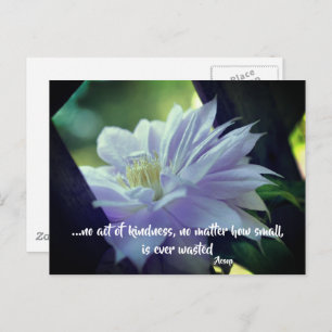 Carte Postale Clematis Flower Kindness Citation inspirante 