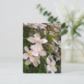 Carte Postale Clematis Montana (Debout devant)