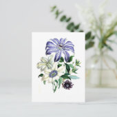 Carte Postale Clematis par Jane Loudon (Debout devant)