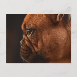 Carte Postale Clémentine