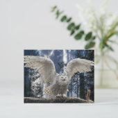 Carte Postale clin (Debout devant)