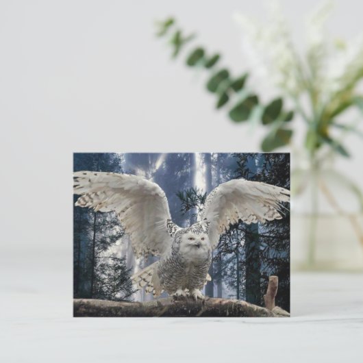 Carte Postale clin (Debout devant)