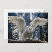 Carte Postale clin (Devant / Derrière)